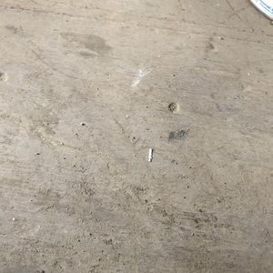 Meet your Posher, Cash